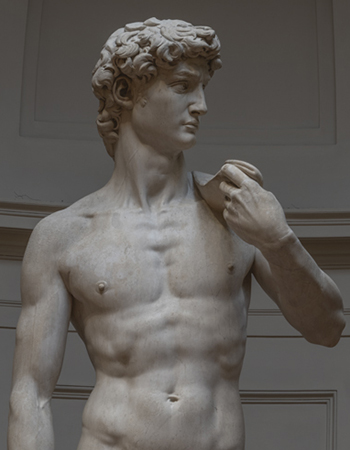 Buonarroti Michelangelo, David dett. busto