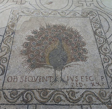 Church of Santa Reparata