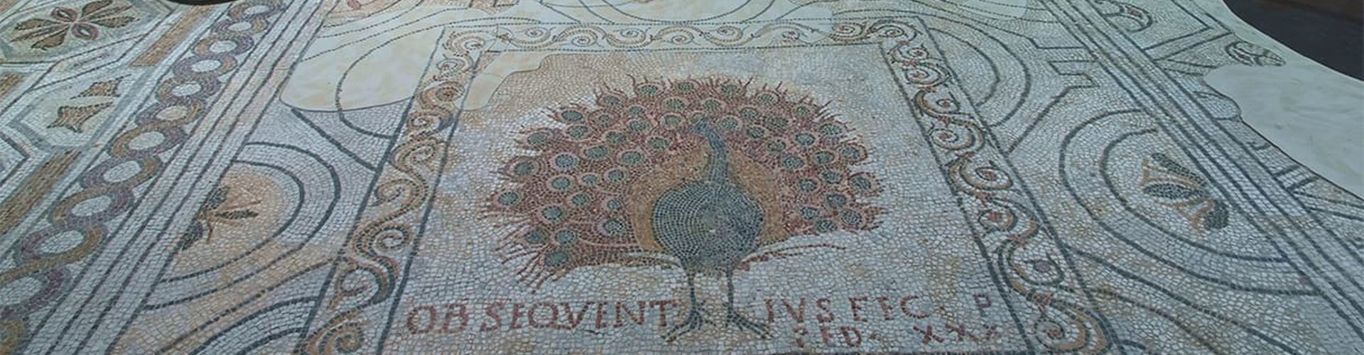 Santa Reparata